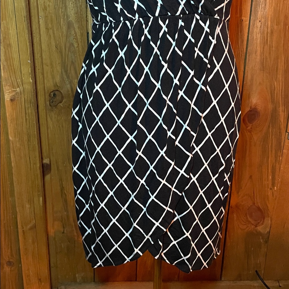 Express Dress - Picture 3 of 5